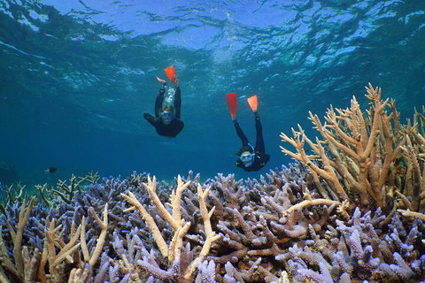 Silversonic Outer Great Barrier Reef Dive And Snorkel Cruise From Port Douglas - Holiday Great Ocean Road 4