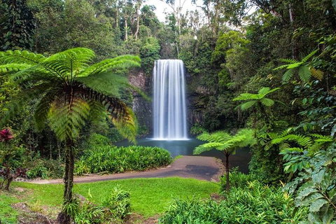 Cairns & Port Douglas All-Inclusive 7 Days Touring Package - Holiday Great Ocean Road 2