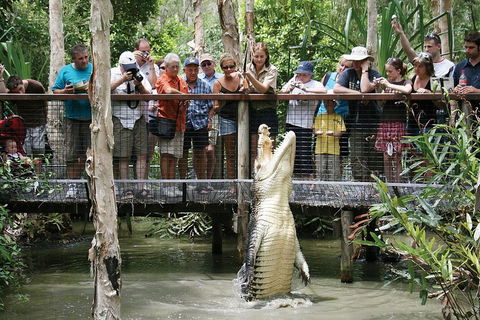 Hartley's Crocodile Adventure Half-Day Tour - Holiday Great Ocean Road 1