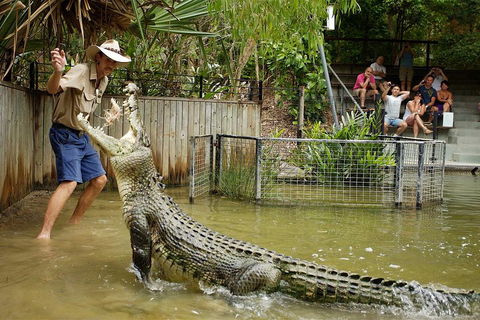 Hartley's Crocodile Adventure Half-Day Tour - Holiday Great Ocean Road 2