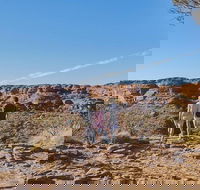 The Amazing Kings Canyon 4-Hours Walking Tour and Hike - Holiday Great Ocean Road