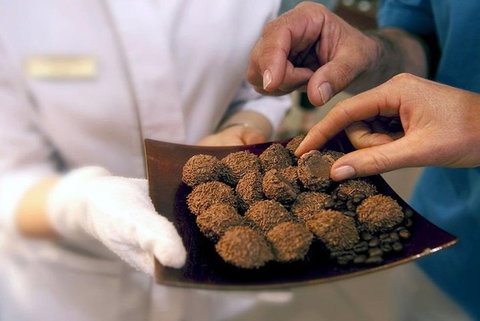 Explore Adelaide City Tour: Haigh's Tasting Chocolate & Adelaide Oval Tour - Holiday Great Ocean Road 2