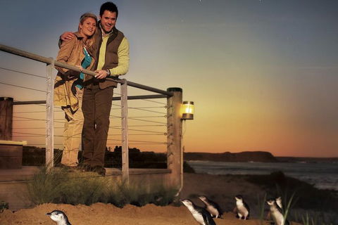 The Ultimate Melbourne Attractions Pass - Holiday Great Ocean Road 3