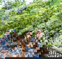 Cape Tribulation Mossman Gorge and Daintree Rainforest Day Trip from Cairns or Port Douglas - Holiday Great Ocean Road