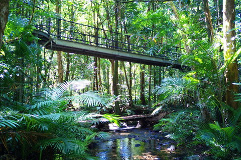 Cape Tribulation, Mossman Gorge, And Daintree Rainforest Day Trip From Cairns Or Port Douglas - Holiday Great Ocean Road 3
