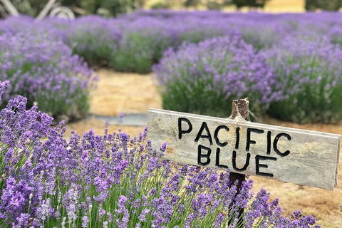 Kangaroo Island Food And Wine Hop-on Hop-off Tour - Holiday Great Ocean Road 4