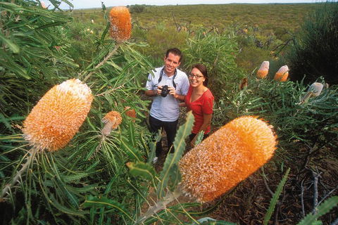 Best Of Perth Wildflower Season Day Trip - Holiday Great Ocean Road 0