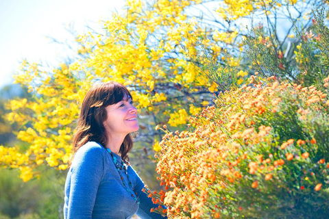 Best Of Perth Wildflower Season Day Trip - Holiday Great Ocean Road 2