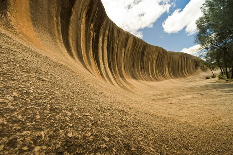 Wave Rock, York, Wildflowers, And Aboriginal Cultural Day Tour From Perth - Holiday Great Ocean Road 0