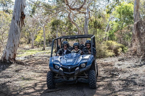 Small-Group Buggy Tour At Little Sahara With Guide - Holiday Great Ocean Road 0