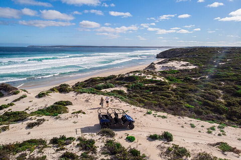 Small-Group Buggy Tour At Little Sahara With Guide - Holiday Great Ocean Road 1