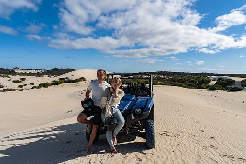 Small-Group Buggy Tour At Little Sahara With Guide - Holiday Great Ocean Road 2