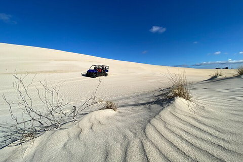 Small-Group Buggy Tour At Little Sahara With Guide - Holiday Great Ocean Road 3