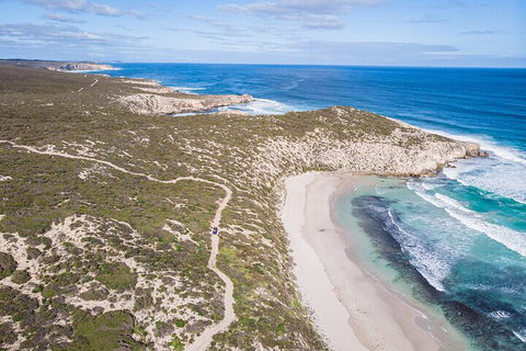 Small-Group Buggy Tour At Little Sahara With Guide - Holiday Great Ocean Road 4