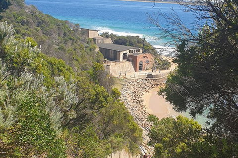 Fort Nepean And Quarantine Station Tour - Holiday Great Ocean Road 4