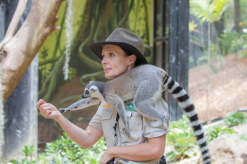 Currumbin Wildlife Sanctuary General Entry Ticket - Holiday Great Ocean Road 1