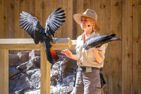 Currumbin Wildlife Sanctuary General Entry Ticket - Holiday Great Ocean Road 4