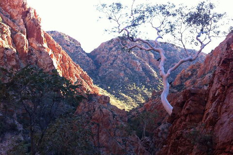 West MacDonnell Private Tour With Transfer - Holiday Great Ocean Road 3