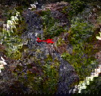 Ultimate Great Barrier Reef and Rainforest 45-minute Helicopter Tour - Holiday Great Ocean Road