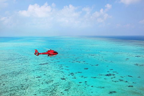 Ultimate Great Barrier Reef And Rainforest 45-minute Helicopter Tour - Holiday Great Ocean Road 2