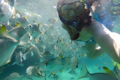 Moreton Island Snorkel And Sandboarding 4WD Day Trip From Brisbane - Holiday Great Ocean Road 3