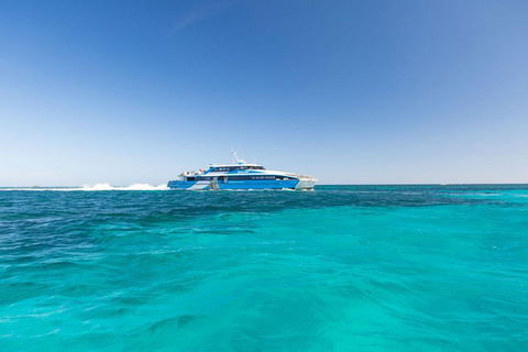 Rottnest Island Bayseeker Day Trip From Perth - Holiday Great Ocean Road 0