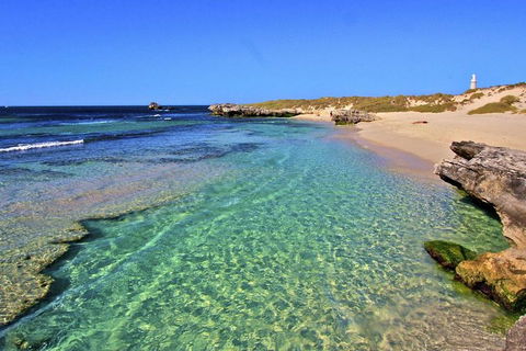 Rottnest Island Bayseeker Day Trip From Perth - Holiday Great Ocean Road 5