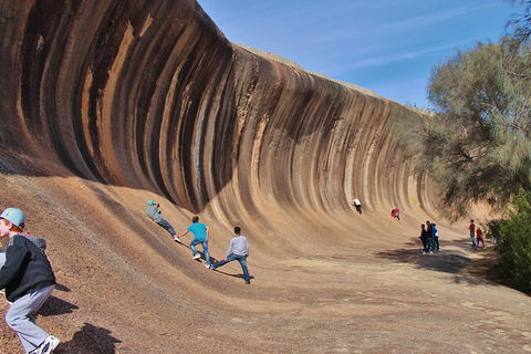 Wave Rock Half Day Air & Ground Tour - Holiday Great Ocean Road 2