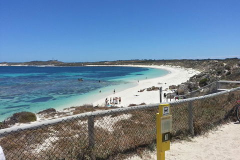 Wave Rock, Pinnacles And Rottnest One Day Aeroplane Tour - Holiday Great Ocean Road 2