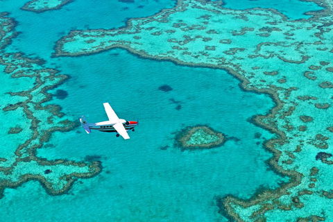 Reef And Island Scenic Flight From Airlie Beach - Holiday Great Ocean Road 4