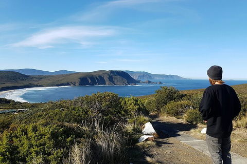 4-Day Fabulous Tasmania Tour: Wineglass Bay, Port Arthur, Devils & Bruny Island - Holiday Great Ocean Road 0