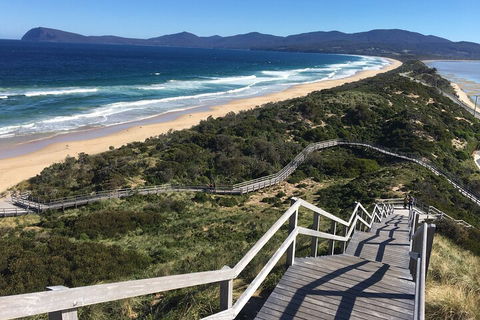 4-Day Fabulous Tasmania Tour: Wineglass Bay, Port Arthur, Devils & Bruny Island - Holiday Great Ocean Road 5