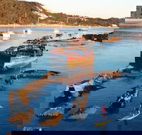 Adventure Moreton Island Wrecks Adventure Package - Holiday Great Ocean Road