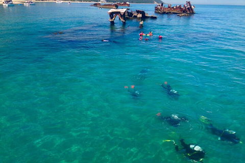Adventure Moreton Island Scuba Dive Tour - Holiday Great Ocean Road 0