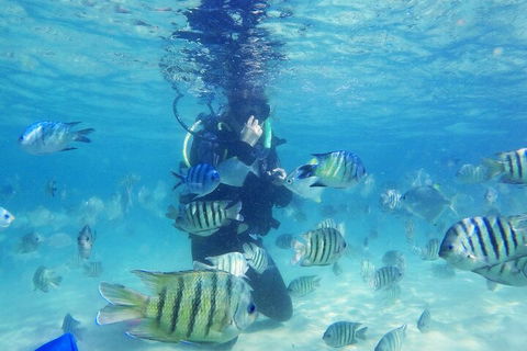 Adventure Moreton Island Scuba Dive Tour - Holiday Great Ocean Road 1