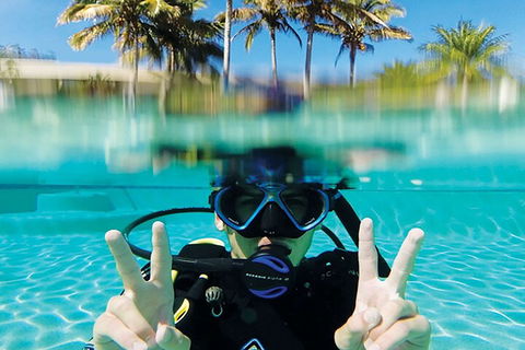 Adventure Moreton Island Scuba Dive Tour - Holiday Great Ocean Road 2