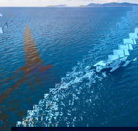 2-Night Whitsunday Islands Sailing Adventure on Trimaran Avatar - Holiday Great Ocean Road