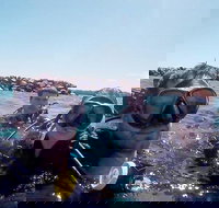 Wave Break Island Scuba Diving on the Gold Coast - Holiday Great Ocean Road