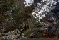 kunanyi / Mt. Wellington Guided Hiking Tour, Hobart