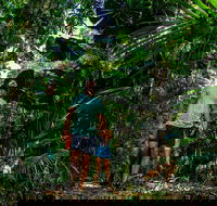 Full Day Daintree Rainforest and Mossman Gorge Tour - Holiday Great Ocean Road