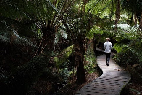 Private Tour Of Melbourne - Holiday Great Ocean Road 2