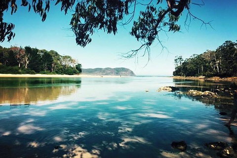 Full-Day Guided Bruny Island Tour From Hobart - Holiday Great Ocean Road 1