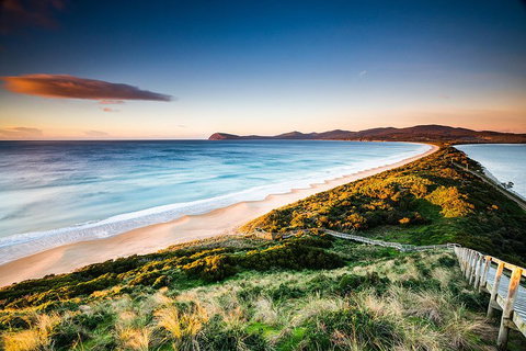 Full-Day Guided Bruny Island Tour From Hobart - Holiday Great Ocean Road 2