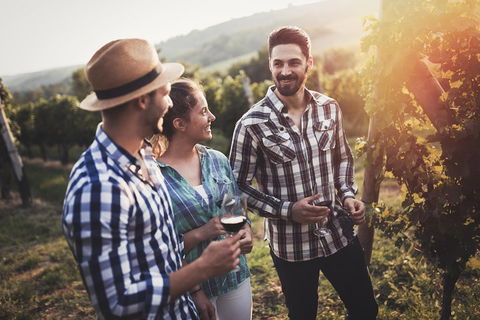 Full Day Mount Tamborine Winery Tour From Gold Coast - Holiday Great Ocean Road 5