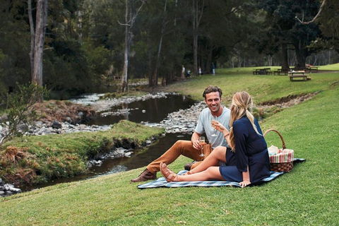 Mt Tamborine - Hinterland Wonders Self Guided - Holiday Great Ocean Road 0