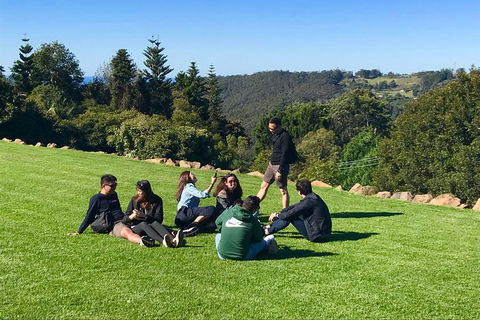 Mt Tamborine - Hinterland Wonders Self Guided - Holiday Great Ocean Road 1
