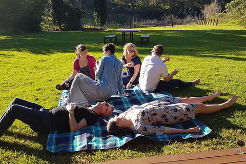 Mt Tamborine - Hinterland Wonders Self Guided - Holiday Great Ocean Road 2