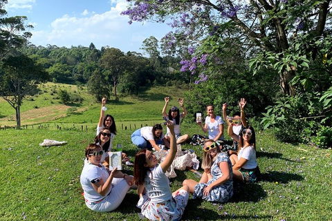 Mt Tamborine - Hinterland Wonders Self Guided - Holiday Great Ocean Road 5