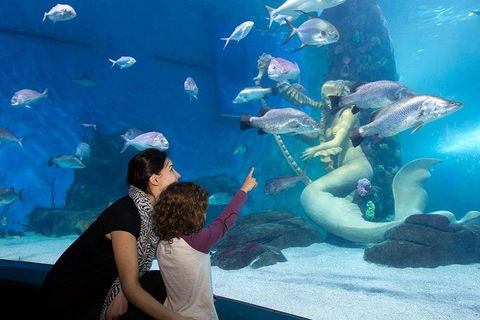 SEA LIFE Melbourne Aquarium Admission Ticket - Holiday Great Ocean Road 4