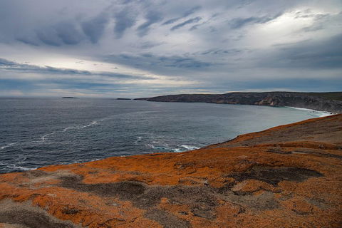 Kangaroo Island Luxury Small Group 'Flinders Chase Focus' Full Day Tour - Holiday Great Ocean Road 0